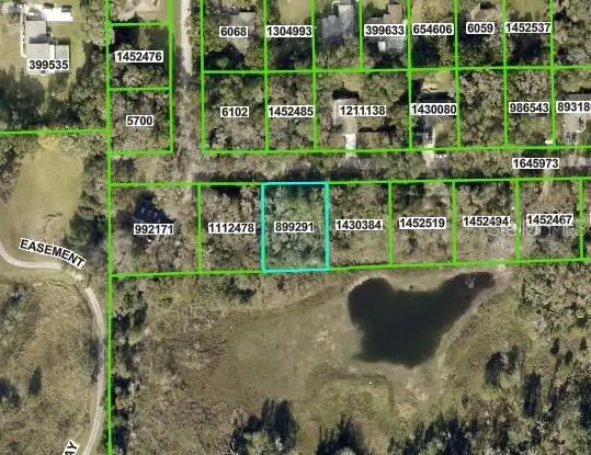 Fitzhugh Avenue, Brooksville, FL 34601 - Image #2