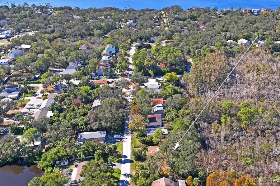 174 Avery Avenue #21 & 1, Crystal Beach, FL 34681 - Image #3