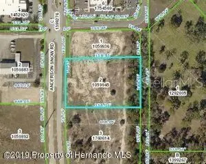 00 Anderson Snow Road, SPRING HILL, FL 34609