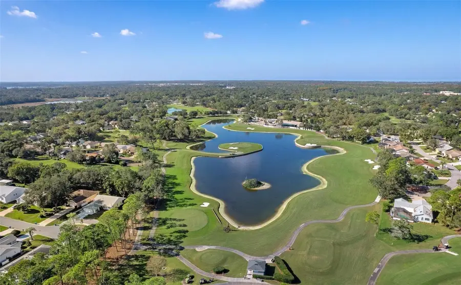 6409 Wedgewood Drive, Spring Hill, FL 34606 - Image #3