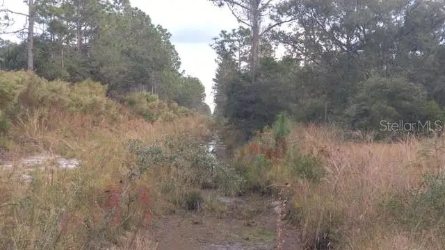 0 Lakeland Drive, Indian Lake Estates, FL 33855 - Image #2