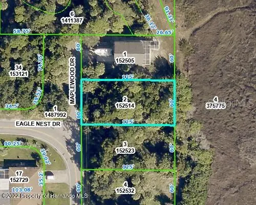 5082 Maplewood Drive, Hernando Beach, FL 34607 - Image #1