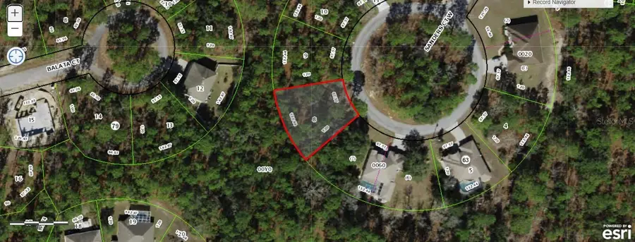 12 Sanders Court W, Homosassa, FL 34446 - Image #2