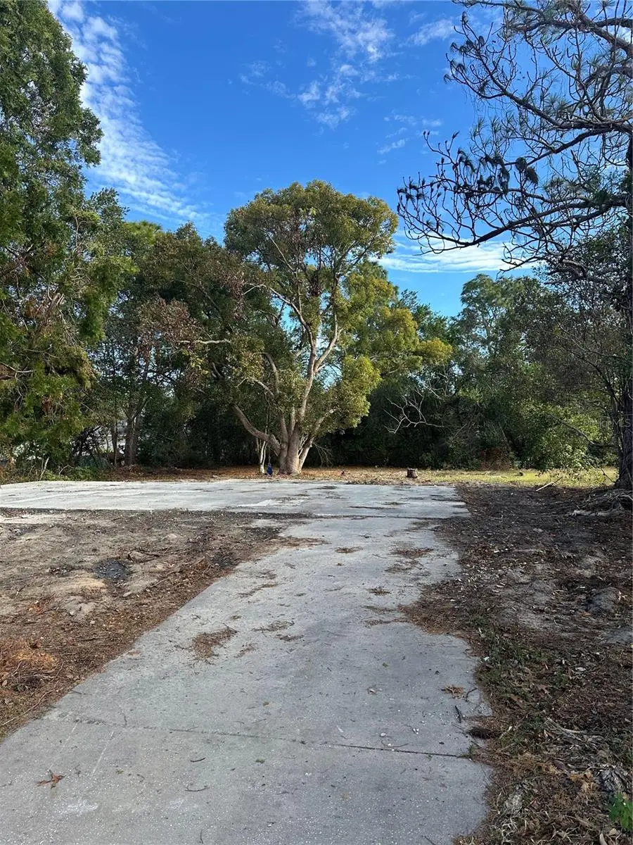 11411 Sagamore Street, Spring Hill, FL 34609 - #3