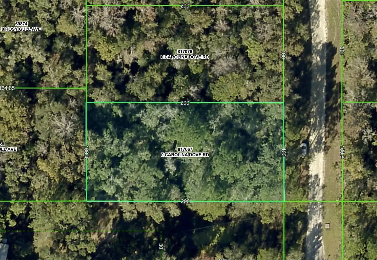 Lot 3 Carolina Dove Road, Weeki Wachee, FL 34614 - Image #1
