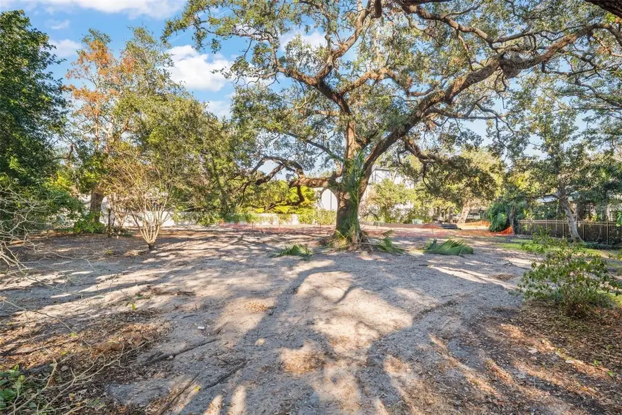 2303 S Hesperides Street, Tampa, FL 33629 - Image #3