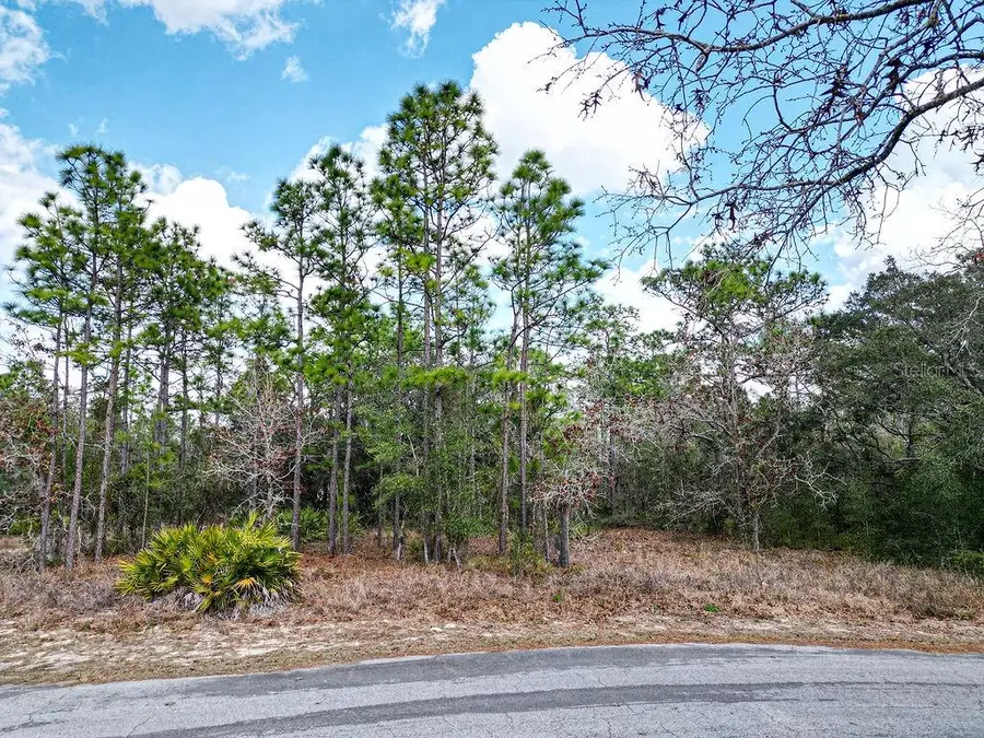 32 Speceberry Circle, Homosassa, FL 34446 - Image #3