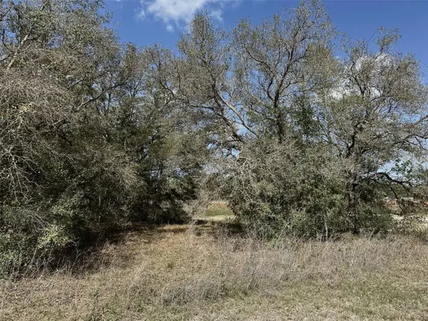 0 Courlan Road, BROOKSVILLE, FL 34614