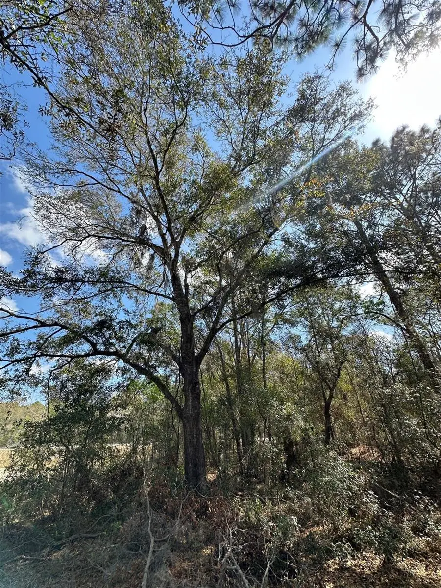 0 Courlan Road, Brooksville, FL 34614 - Image #2