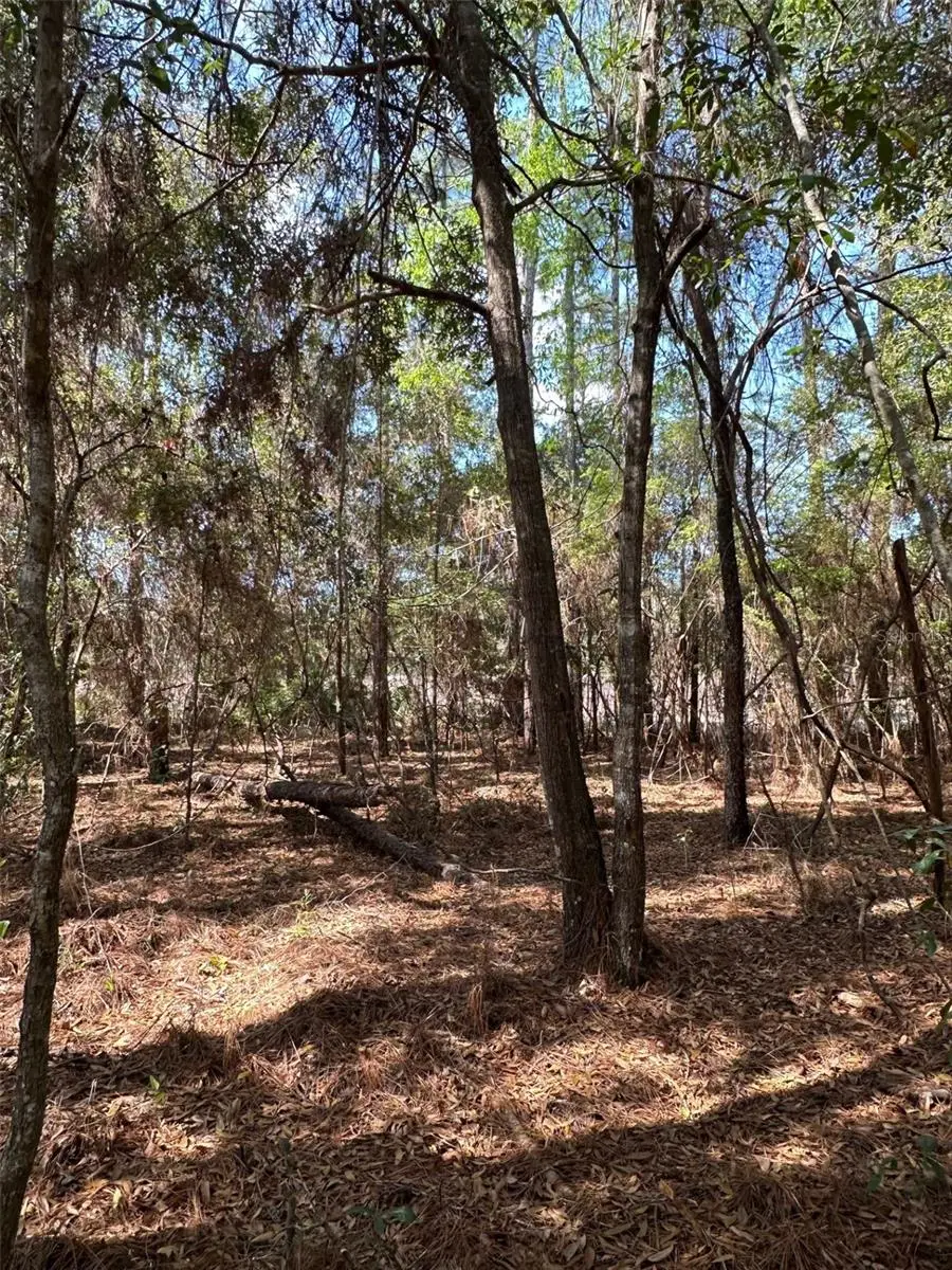 0 Courlan Road, Brooksville, FL 34614 - Image #3