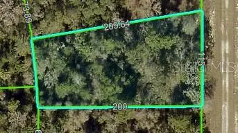 Curlew Road, Brooksville, FL 34614 - Image #1