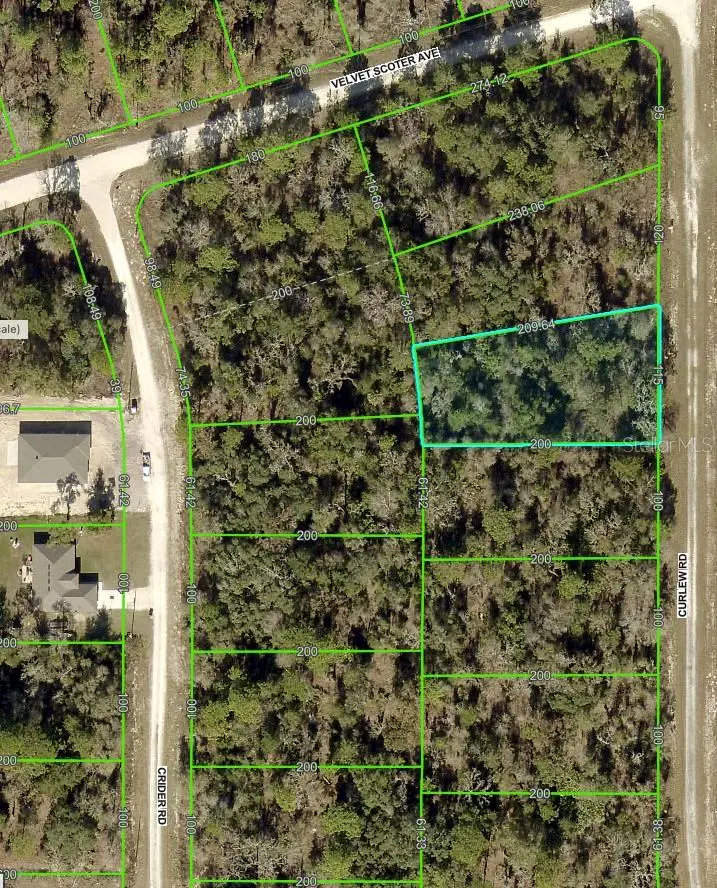 Curlew Road, Brooksville, FL 34614 - Image #2