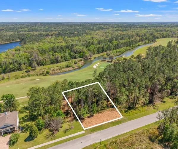 20044 English Walnut Place, BROOKSVILLE, FL 34601