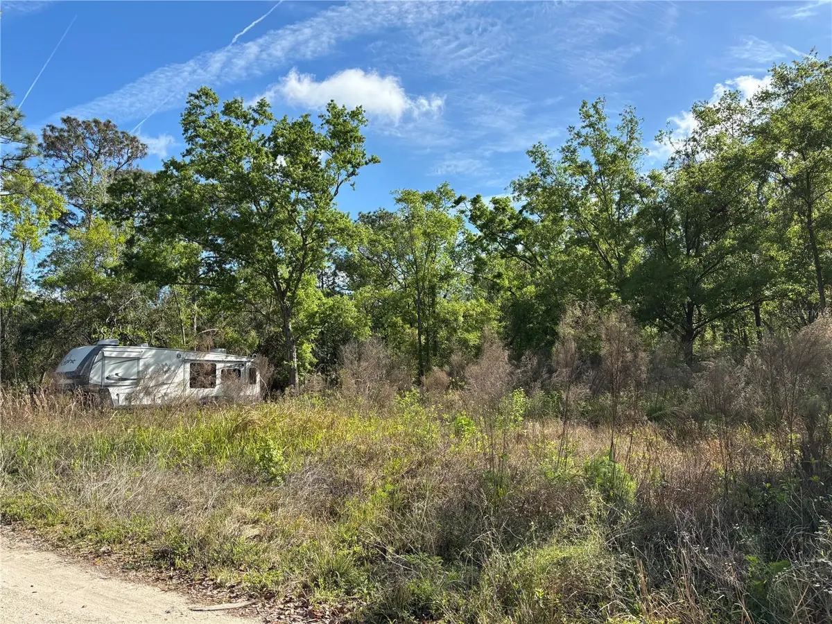 11042 Bounty Street, New Port Richey, FL 34654 - Image #1