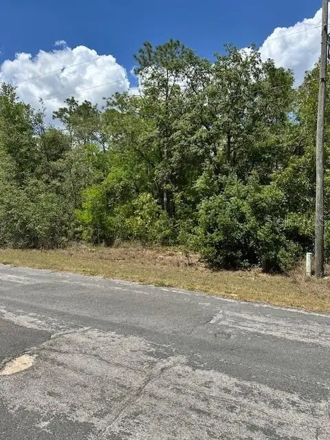 2235 W Summer Place, Citrus Springs, FL 34434 - Image #2