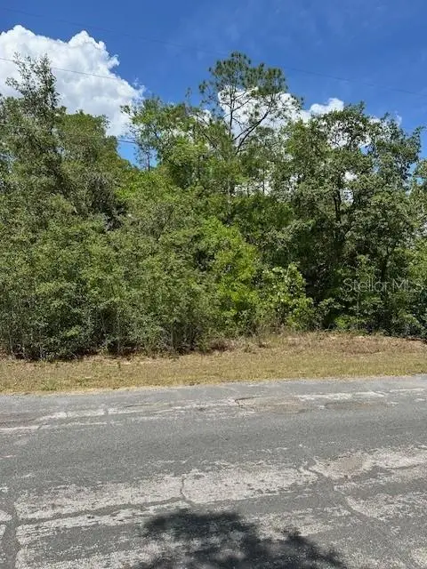 2235 W Summer Place, Citrus Springs, FL 34434 - Image #3