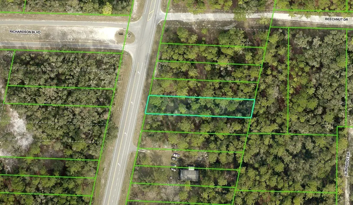0 Treiman Blvd Lot 15, Webster, FL 33597 - Image #1