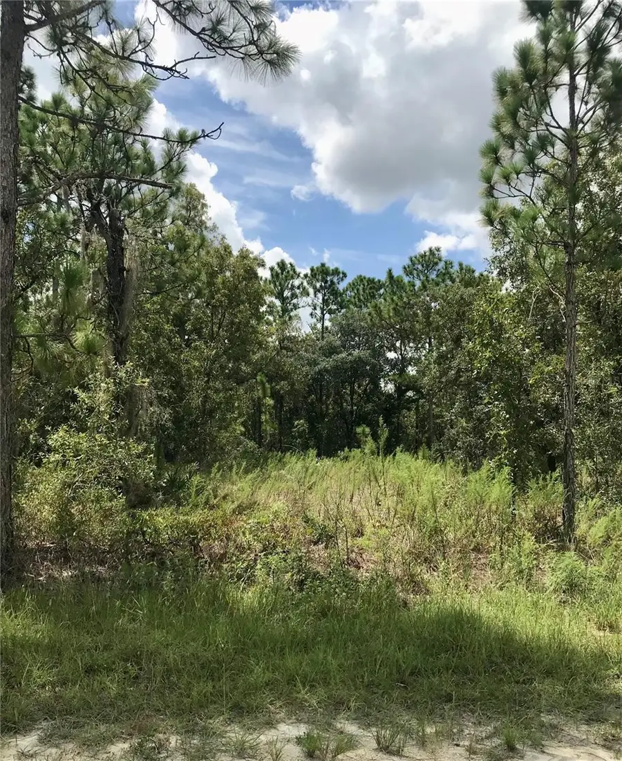 LOT 4 Florida Wren Avenue, Brooksville, FL 34614 - Image #2