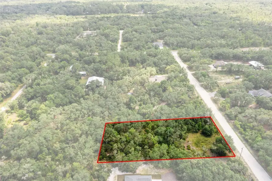 8184 Chimney Rock Drive, Webster, FL 33597 - Image #2