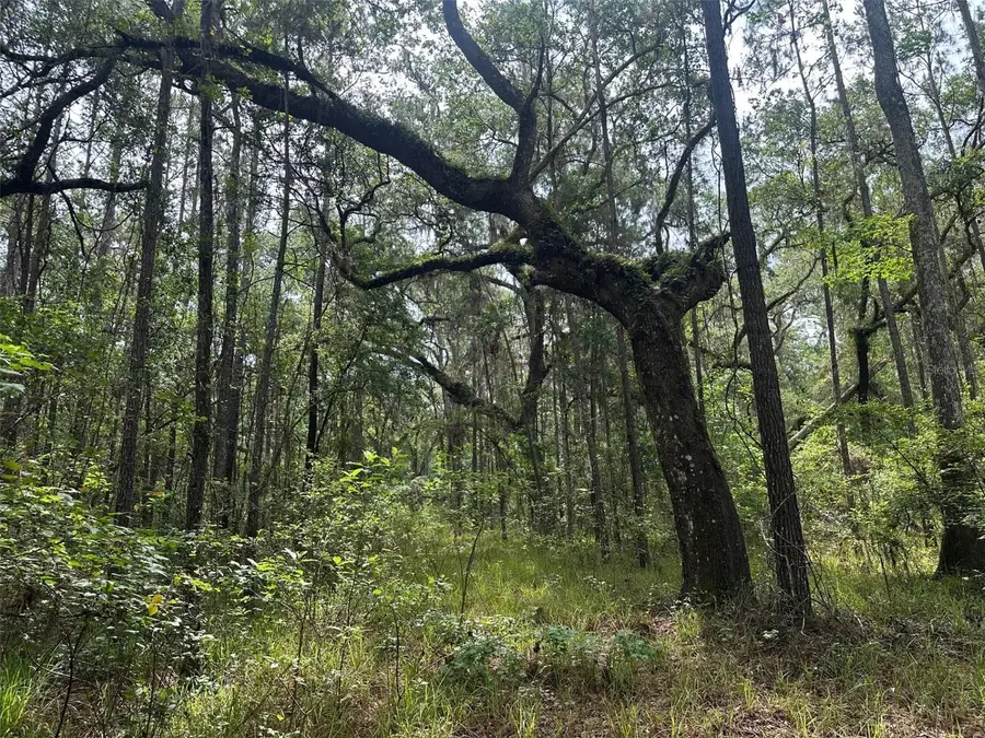 0 Emerson Road, Brooksville, FL 34601 - Image #2