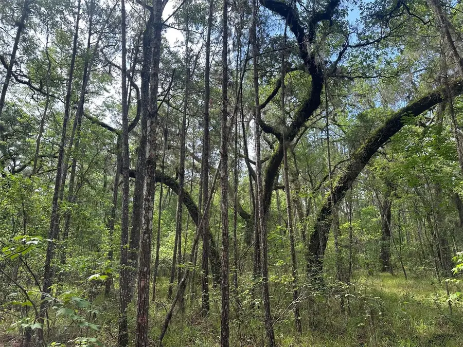 0 Emerson Road, Brooksville, FL 34601 - Image #3