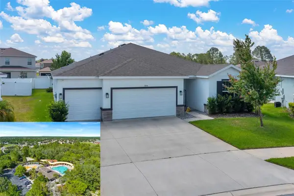 13454 Golden Lime Ave, SPRING HILL, FL 34609