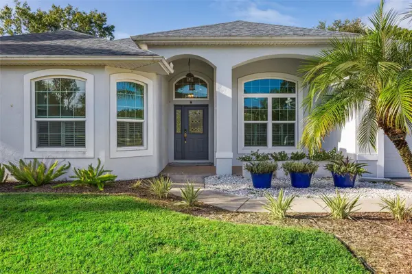 18902 Saint Laurent Drive, LUTZ, FL 33558