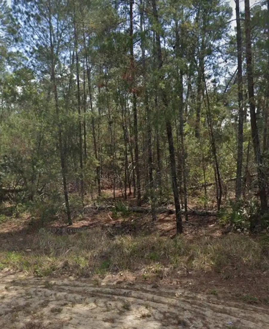 13 Scabiosa Court, Homosassa, FL 34446 - #2