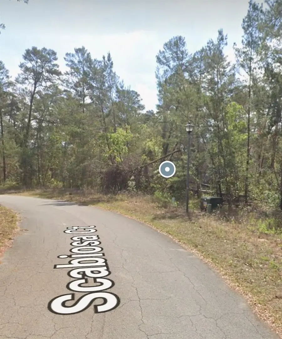 13 Scabiosa Court, Homosassa, FL 34446 - #3