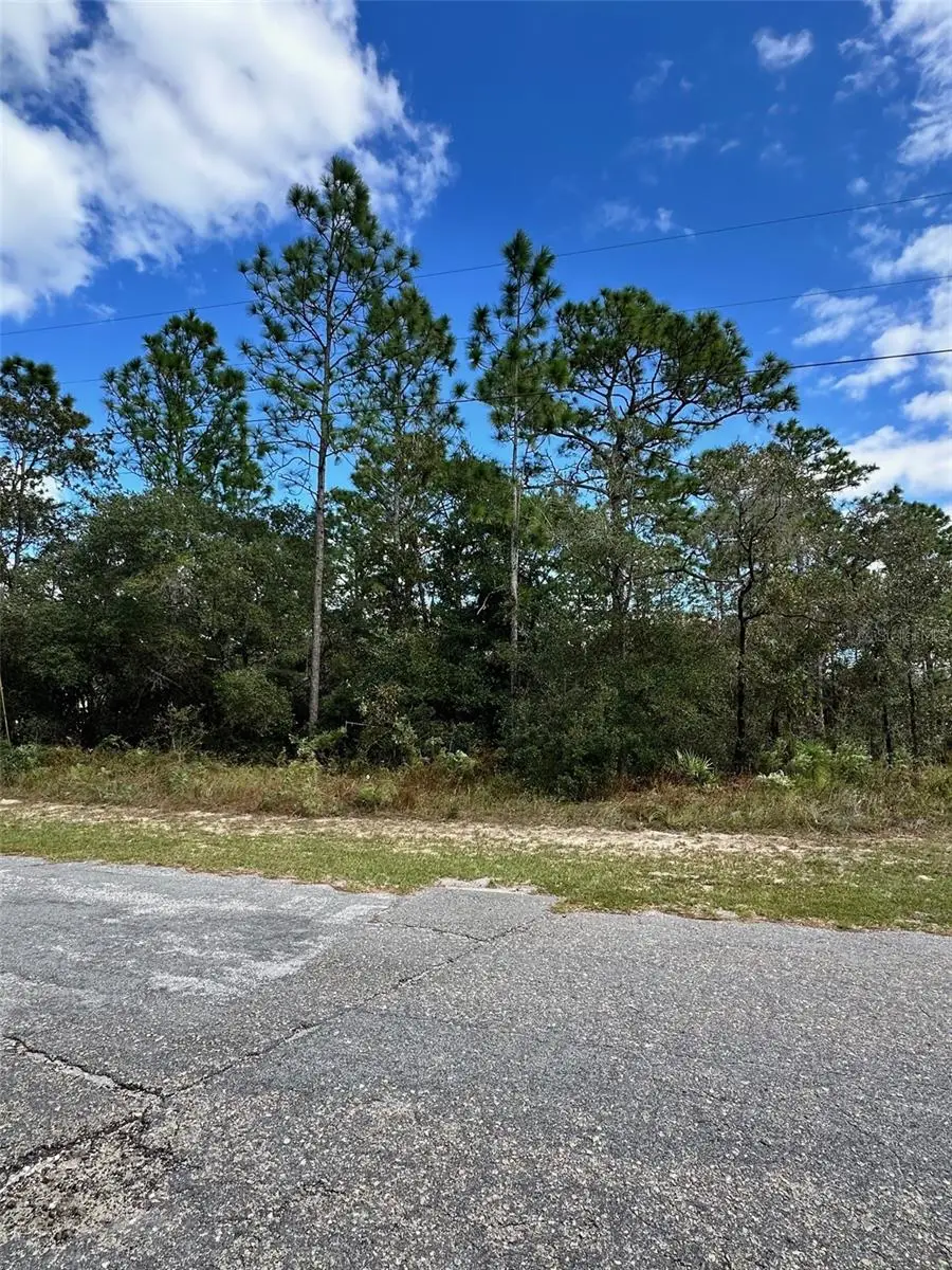 7181 N Regent Terrace, Citrus Springs, FL 34433 - #2