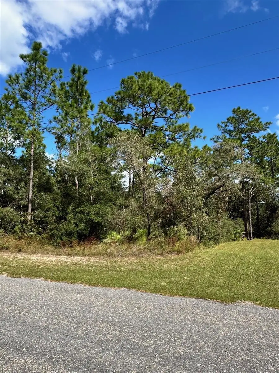 7181 N Regent Terrace, Citrus Springs, FL 34433 - #3