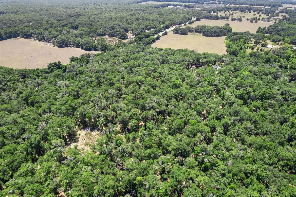 11426 S Pleasant Grove Road, Floral City, FL 34436 - Image #1