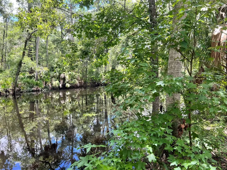 1528 Palm Street Ne, Steinhatchee, FL 32359 - Image #2