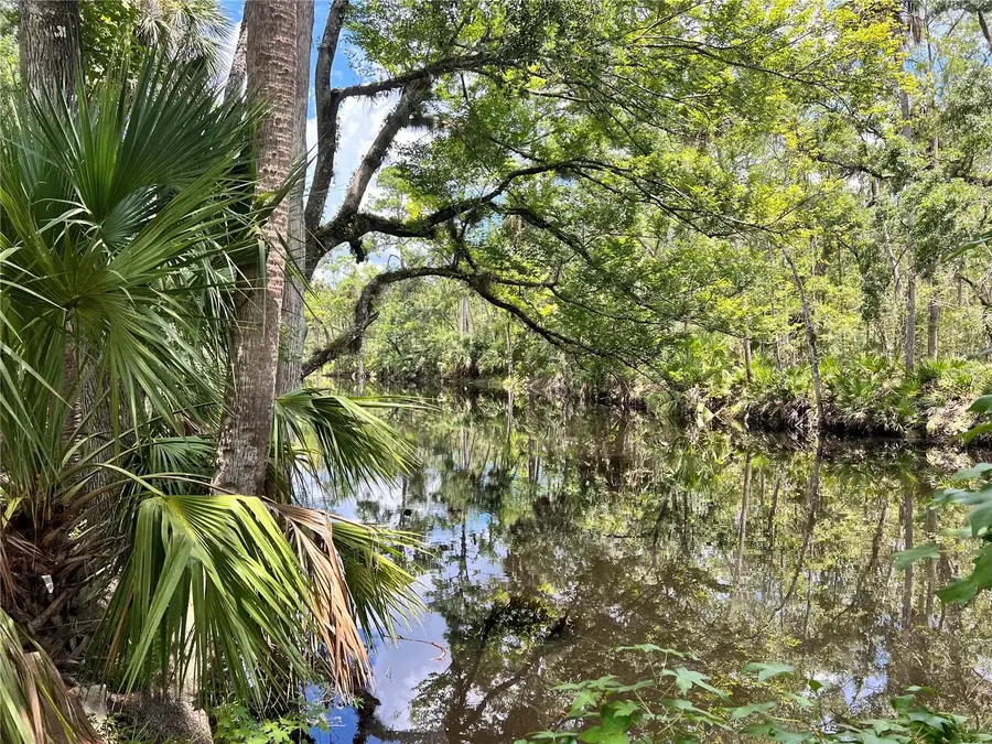 1528 Palm Street Ne, Steinhatchee, FL 32359 - Image #3