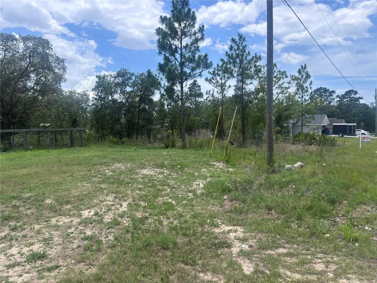 Nusser Avenue, Weeki Wachee, FL 34613 - Image #1