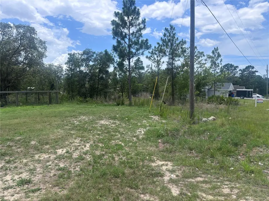 Nusser Avenue, Weeki Wachee, FL 34613 - Image #3