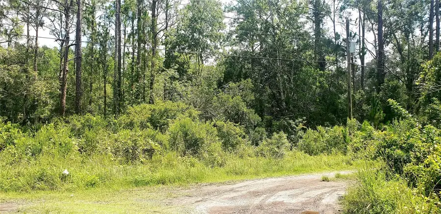 0 Ladd Avenue, New Port Richey, FL 34654 - Image #2