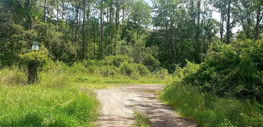 0 Ladd Avenue, New Port Richey, FL 34654 - Image #3