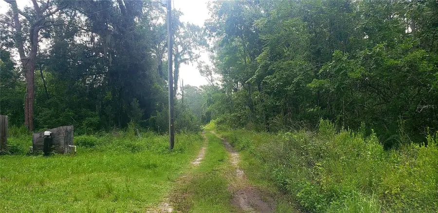 TBD Ladd Ave, New Port Richey, FL 34654 - Image #2