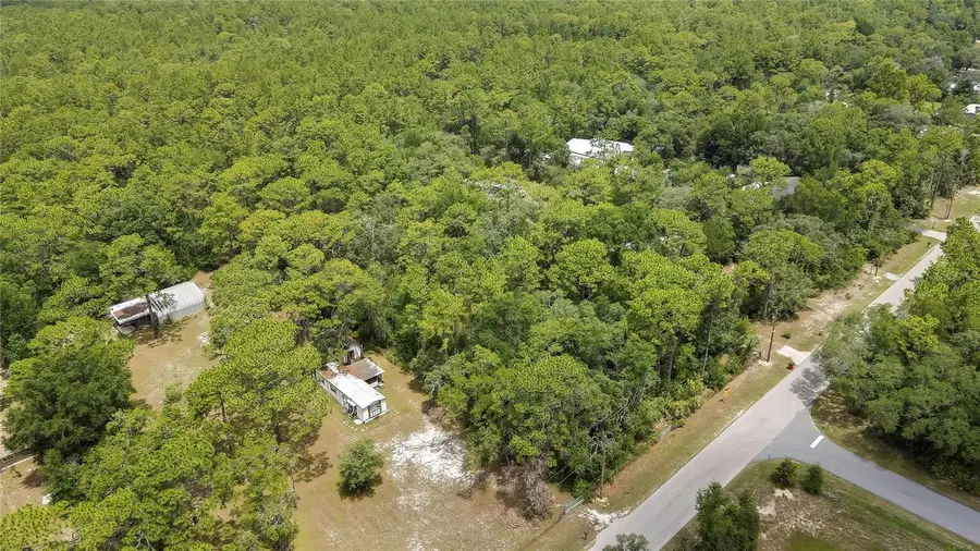 1672 S Colonial Avenue, Homosassa, FL 34448 - #2