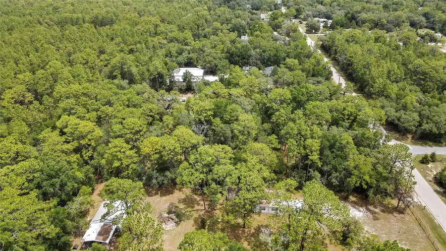 1672 S Colonial Avenue, Homosassa, FL 34448 - #3