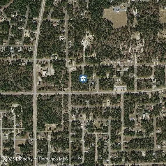 2404 W Elmore Loop, Citrus Springs, FL 34434 - Image #3