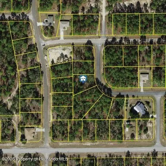 2432 W Elmore Loop, Citrus Springs, FL 34434 - Image #1