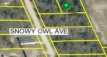 0 Snowy Owl Avenue, BROOKSVILLE, FL 34614