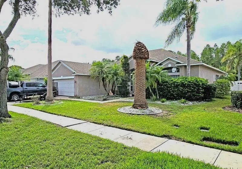 3134 Ashmonte Drive, Land O Lakes, FL 34638 - Image #1