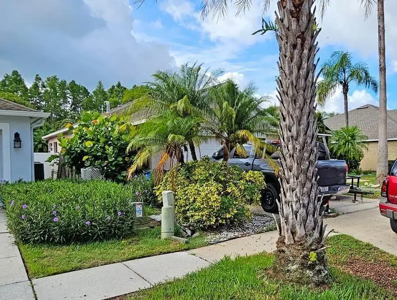 3134 Ashmonte Drive, Land O Lakes, FL 34638 - Image #2