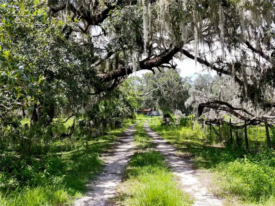 20089 Ayers Road, Brooksville, FL 34604 - Image #3