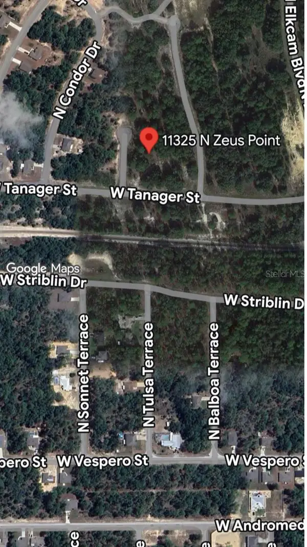 11325 N Zeus Point, DUNNELLON, FL 34433