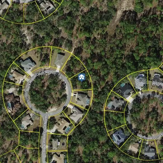 29 Black Willow Court N, HOMOSASSA, FL 34446