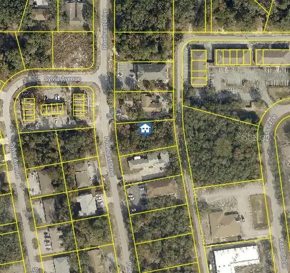 lot 8 Pinehurst Drive, Spring Hill, FL 34606 - Image #1